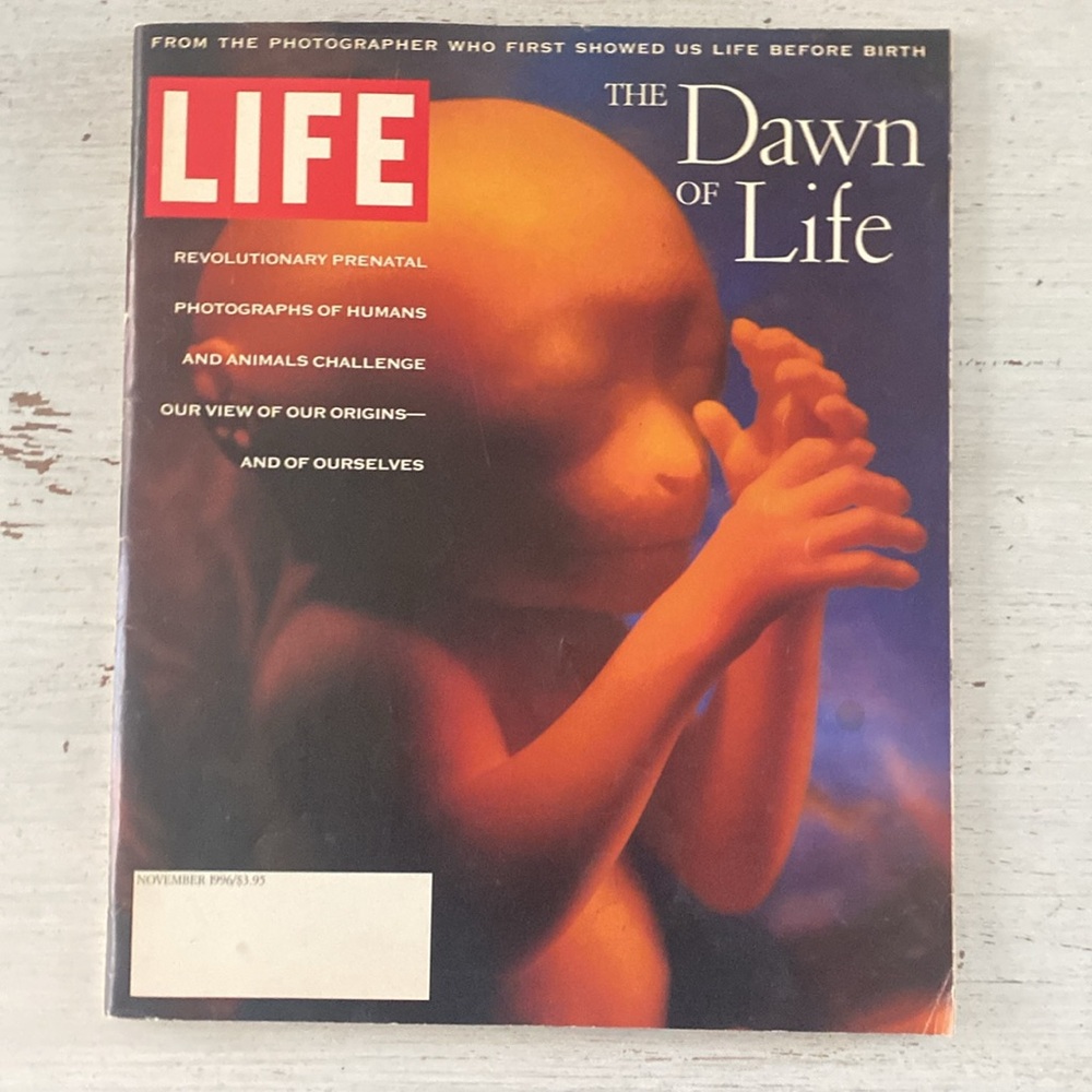 1996 Life Magazine - The Dawn of Life Issue - Picture 11 of 11
